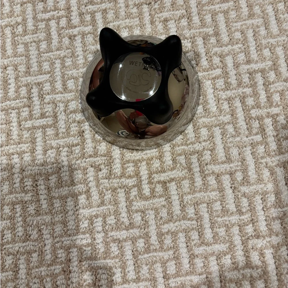 Wet Noz extra small pet bowl. Elevated stainless steel